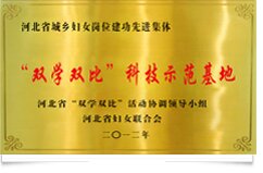 资质荣誉